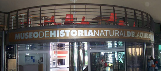 Museo de Historia Natural