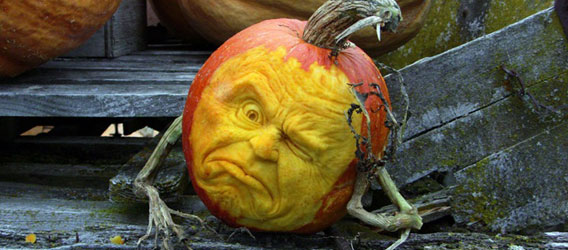 Caras animadas realizadas en calabazas