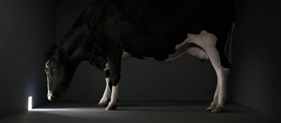 40 anuncios creativos que utilizan animales