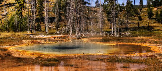 Fotos de Parque Nacional de Yellowstone