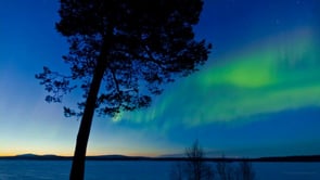 The Aurora